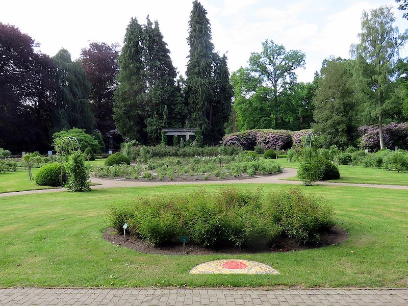 Rosengarten auf dem Friedhof Ohlsdorf