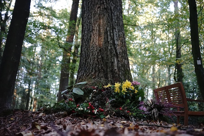 Niedergelegter bunter Blumenschmuck vor einer Grabstelle an einem Baum im Waldfrieden Horstmar-Alst