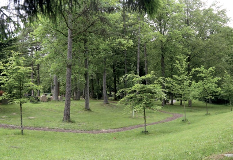 Pfad zwischen Bäumen im Waldfriedhof Backnang