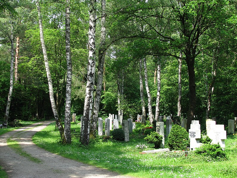 Ein geschwungener Weg im neuen Teil des Waldfriedhofs München