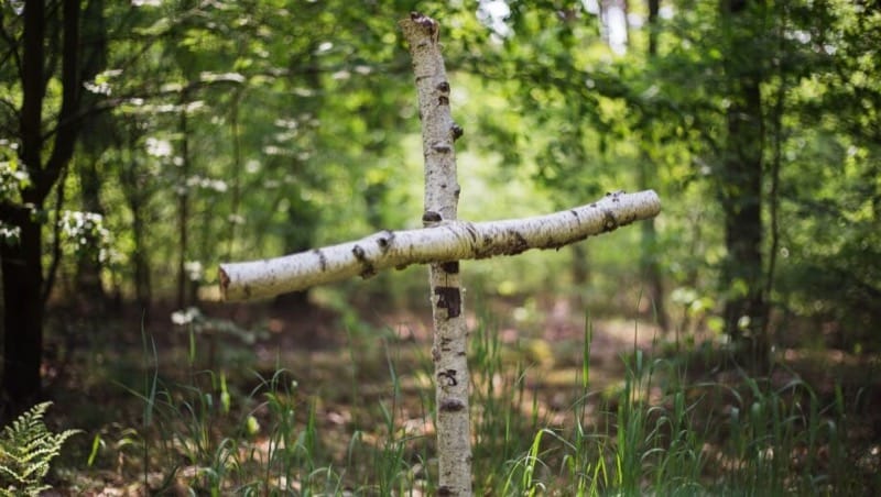 Kreuz aus Birkenholz im FriedWald Nuthetal Parforceheide