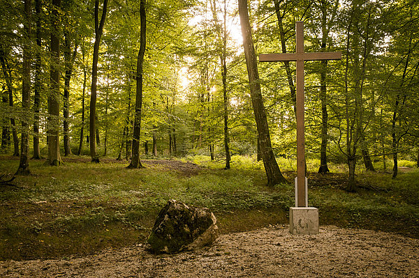 Andachtsplatz mit einem großen Holzkreuz im Naturfriedhof Silva Terra im Stadtwald Donauwörth
