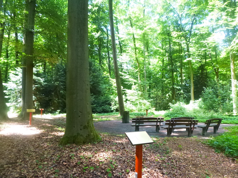 Andachtsplatz mit vier Holzbänken und einer Urnenstelle im Trauerwald „Unter Bäumen“ Frankfurt - Oberrad