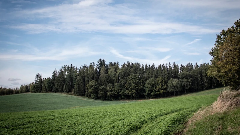 Sicht auf die Waldruh Amperland von einem hügeligen Feld aus